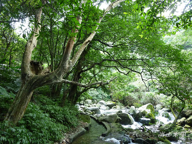 青山瀑布（二）水圳步道