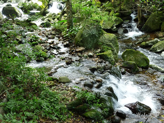 青山瀑布（二）水圳步道