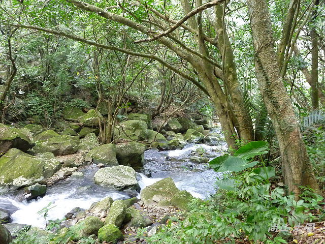 青山瀑布（二）水圳步道