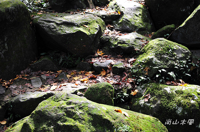 青山瀑布（三）山徑飛瀑