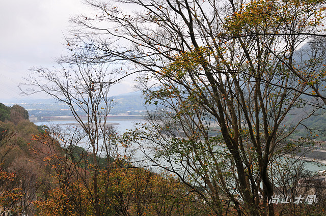 石門水庫（三）楓林步道、槭林公園、扶輪亭