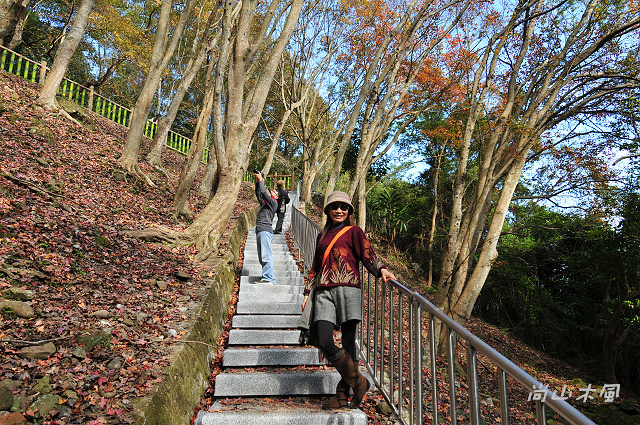 石門水庫（三）楓林步道、槭林公園、扶輪亭
