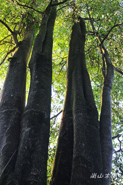 石門水庫（五）碼頭、溪州公園