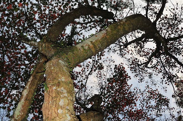 石門水庫（五）碼頭、溪州公園