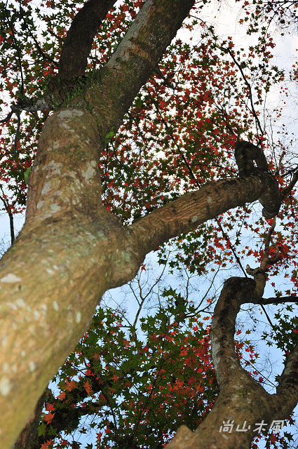 石門水庫（五）碼頭、溪州公園