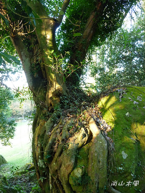 石門水庫（五）碼頭、溪州公園
