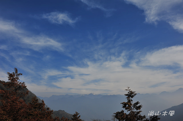 觀霧（8）雲霧步道