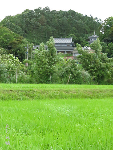 2014東中家族樂遊趣