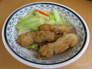 漫遊東石、布袋（七）外傘頂洲