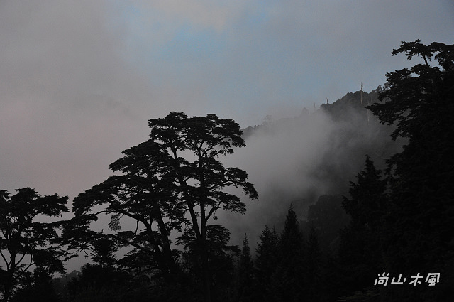 大雪山（6）觀景於200林道