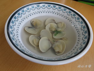 漫遊東石、布袋（七）外傘頂洲