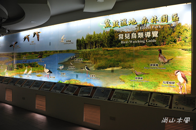 漫遊東石、布袋（三）鰲鼓溼地（2）