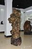 DSC_8916.jpg