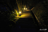 DSC_6470.jpg