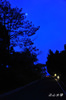 DSC_6473.jpg