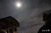 DSC_6481.jpg