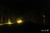 DSC_6498.jpg
