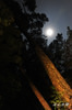 DSC_6504.jpg