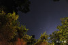 DSC_6511.jpg