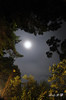 DSC_6528.jpg