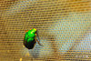 DSC_6538.jpg