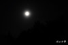 DSC_6545.jpg