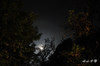 DSC_6552.jpg