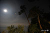 DSC_6557.jpg