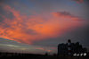 DSC_7843.jpg