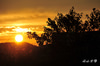 DSC_8009.jpg