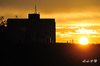 DSC_8010.jpg