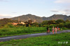 DSC_8011.jpg