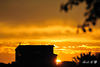 DSC_8018.jpg