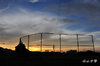 DSC_8031.jpg