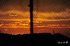 DSC_8033.jpg