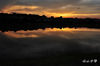 DSC_8050.jpg