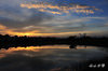 DSC_8059.jpg