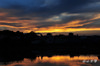 DSC_8078.jpg