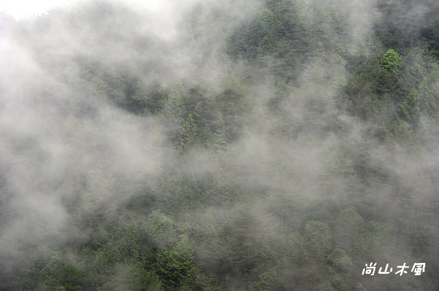大雪山（6）觀景於200林道
