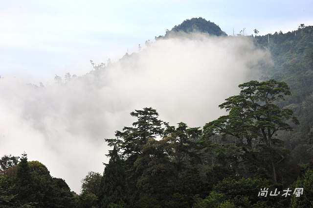 大雪山（6）觀景於200林道