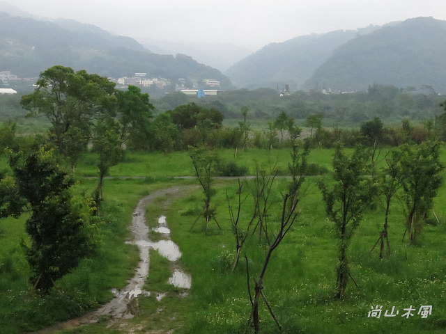 毋驚日曬雨淋，走路趣味多