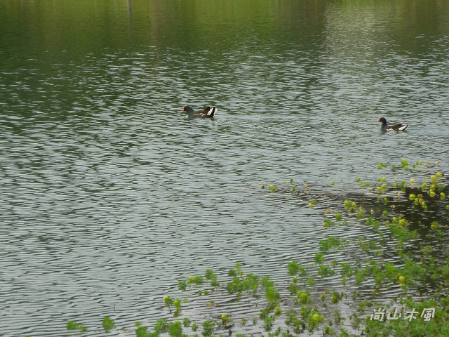 竹東河濱公園（三）