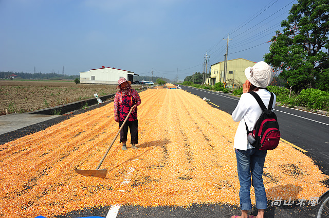 漫遊東石、布袋（三）鰲鼓溼地（2）