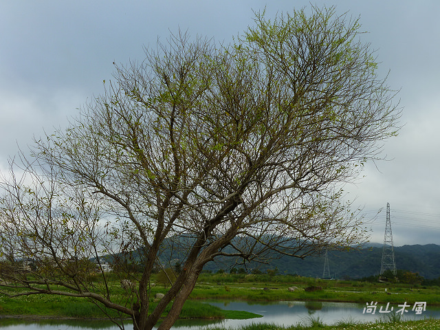 竹東河濱公園（三）
