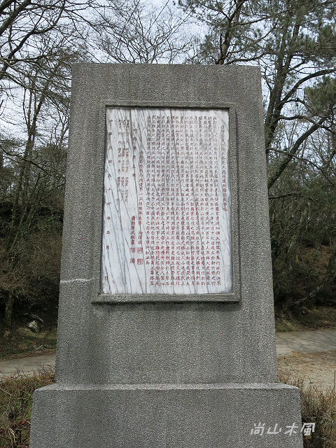 觀霧（3）沿著大鹿林道上山去