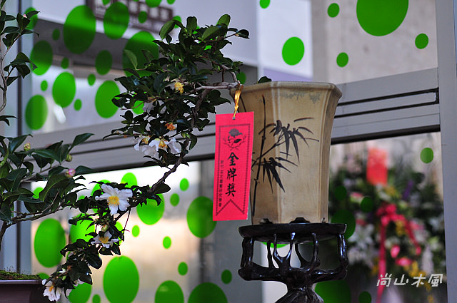 2010 新竹茶花節