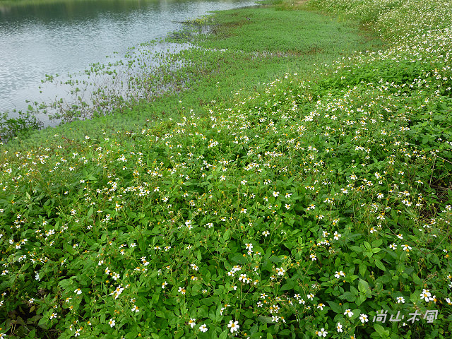 竹東河濱公園（三）