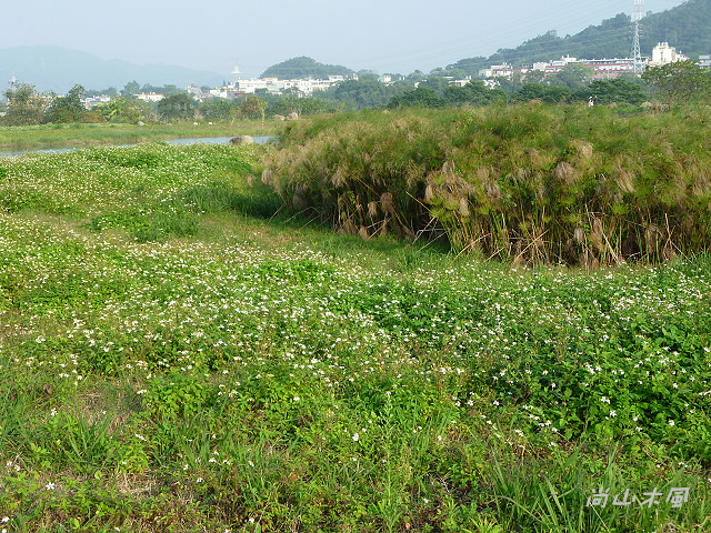竹東河濱公園（三）