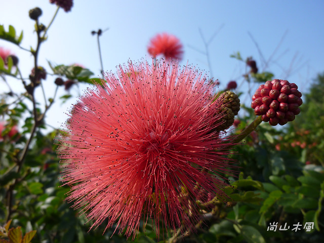 竹東河濱公園（二）