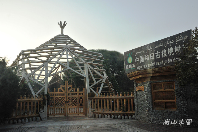 大漠南疆（35）核桃樹王公園